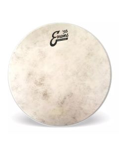 Evans 8" drumhead Calftone 