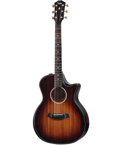 Taylor 324ce Builders Edition 