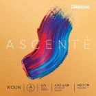 D'ADDARIO Ascente 1/4 viulun kielisarja Mediu 