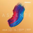 D'addario Ascente viulun kielisarja 3/4, Medium 