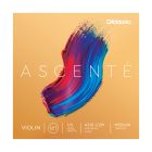 D'addario Ascente viulun kielisarja 1/2, Medium 